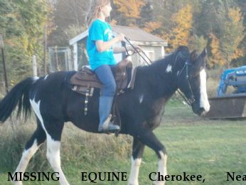MISSING EQUINE Cherokee, Near Butternut, WI, 54514